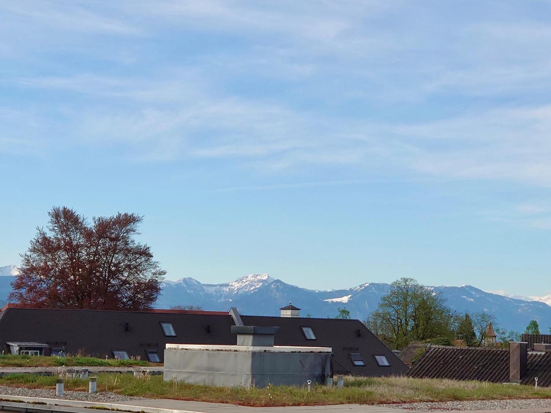 Ferienwohnung Riva - Wohlfuehloase In Ruhiger Lage Lindau  Eksteriør bilde